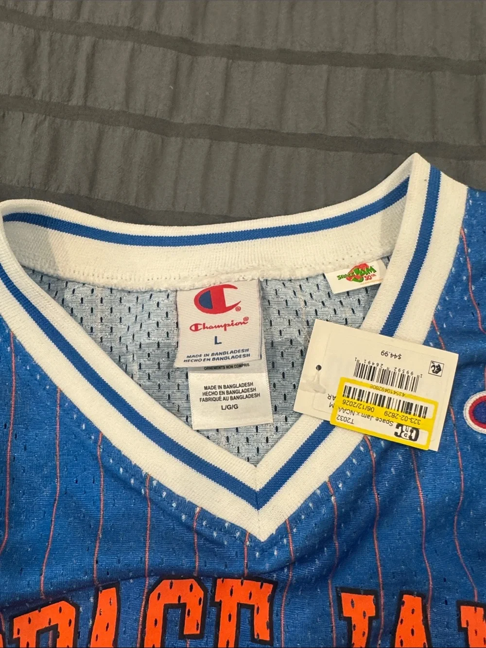Champion Blue and White Space Jam '96 Basketball Jersey